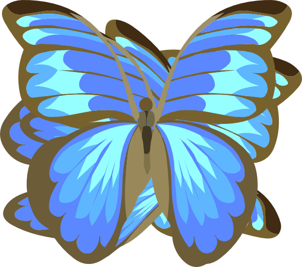 Butterfly, Blue, Black, Insect, Wing - Rysunek Motyl (600x530)
