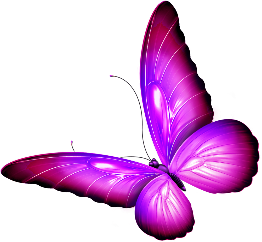 Butterfly Wings Pink Purple Shaded Wingedcreatures - Purple (1106x1024)