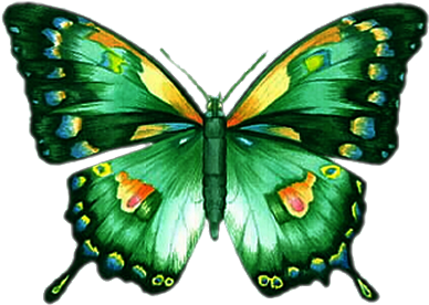 Tubes Papillons Plus Plus - Animated Moving Images Of Butterfly (400x300)