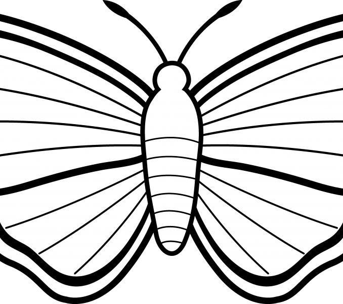 Outline Image Of Butterfly Butterfly Wing Outline Free - Butterfly Images Clipart Black And White (678x600)