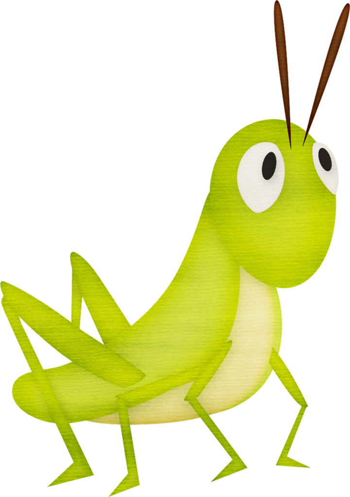 Album - Grasshopper Clipart Png (721x1024)