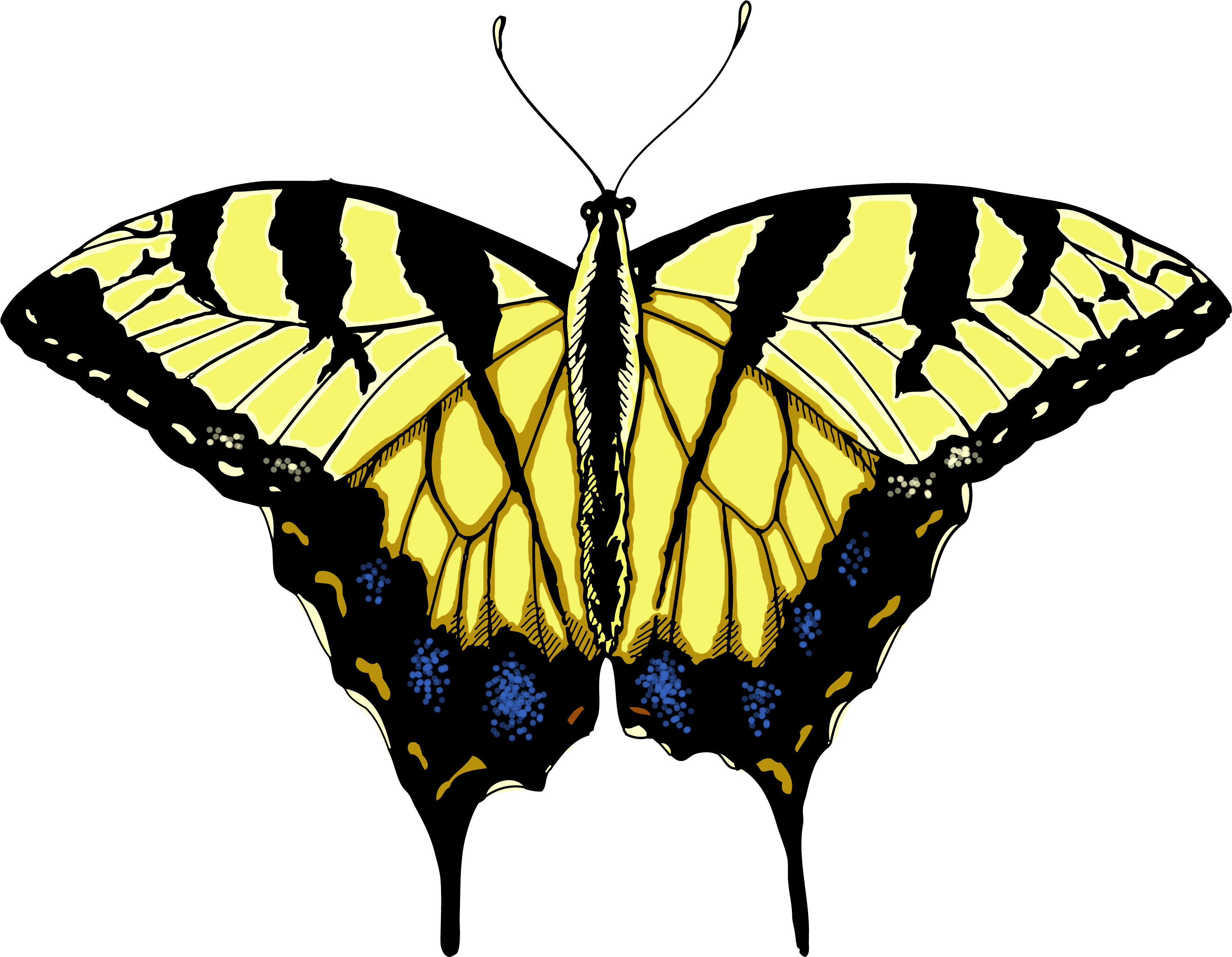 Swallowtail Butterfly Clip Art - Butterfly (3000x2400)