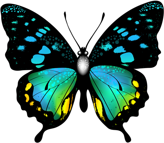 Blue Colorful Butterfly Png Clip Art Image - Butterflies Colorful (850x736)