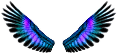 Fairy Wings Png - Background Sayap Png (612x312)