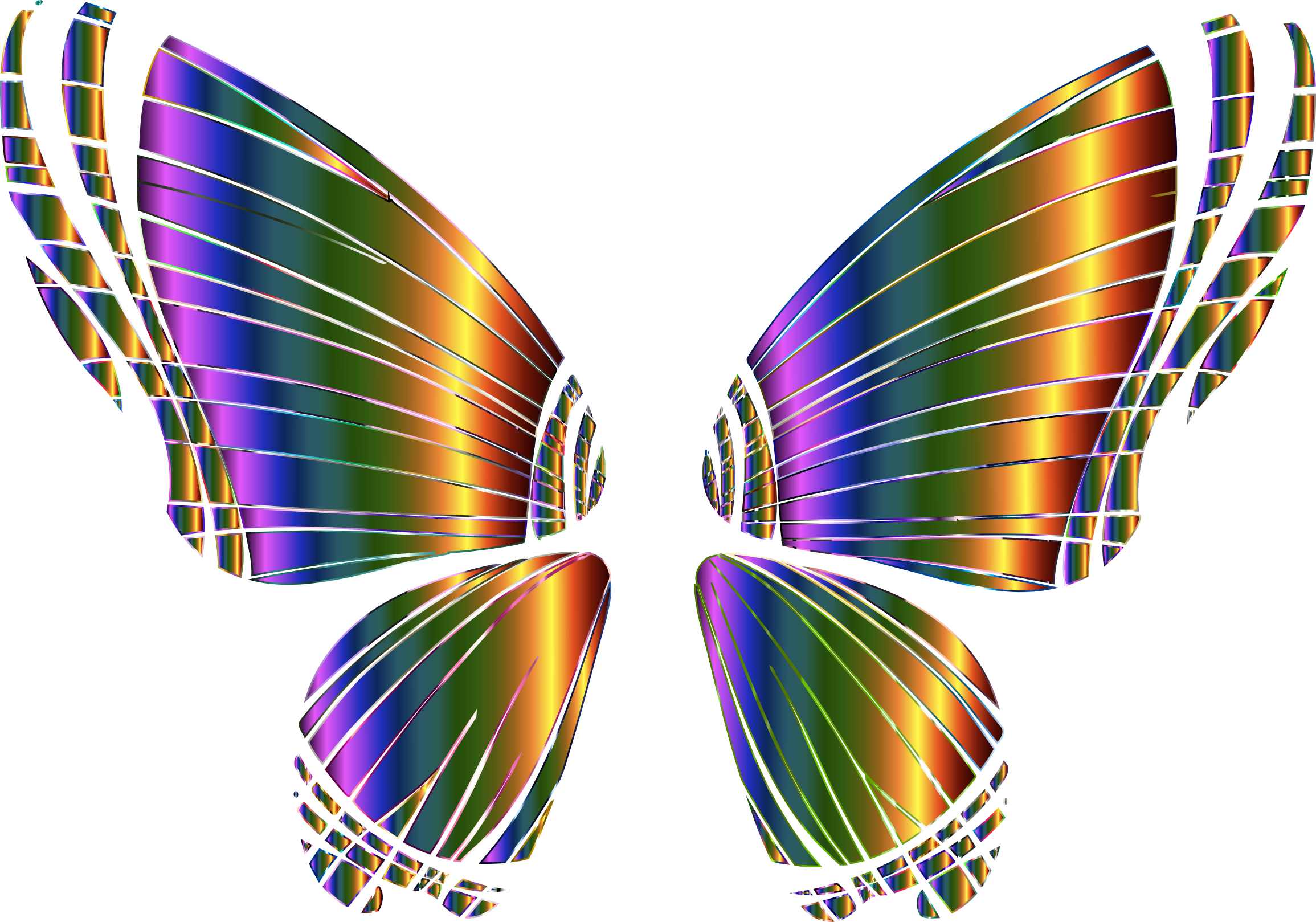 Big Image - Butterfly Wing No Background (2310x1618)