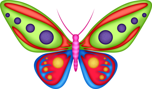 Colorful Butterfly - Butterfly (624x369)