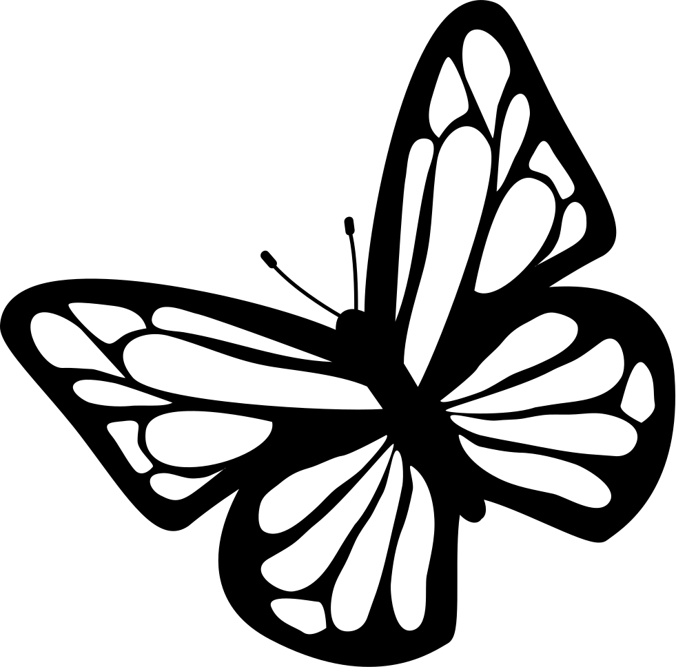 Butterfly Black And White Clipart Download Free Images Butterfly Svg