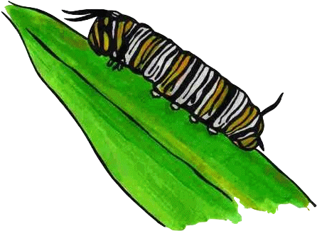 Caterpillar - Life Cycle Of A Butterfly Egg Clipart (459x339)