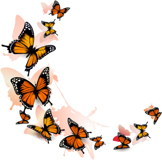 Clipart Butterflies - Monarchbutterfly Png (600x580)