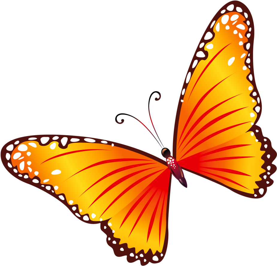 Butterfly Image Clipart - Red And Yellow Butterfly (1000x982)