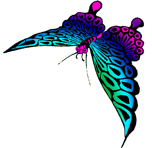 Strange Colored Butterfly Image - Butterfly (645x650)