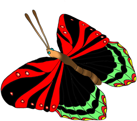 Colorful Butterflies Image - Butterfly (528x472)