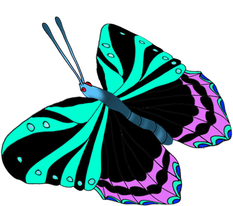 Colorful Butterflies Image - Brush-footed Butterfly (528x472)