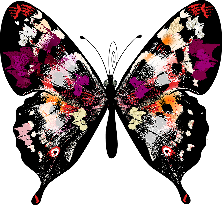 Butterfly Clip Art - Butterfly Clip Art (900x830)