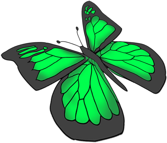 Purple Butterfly Drawing - Transparent Green Butterfly (588x532)