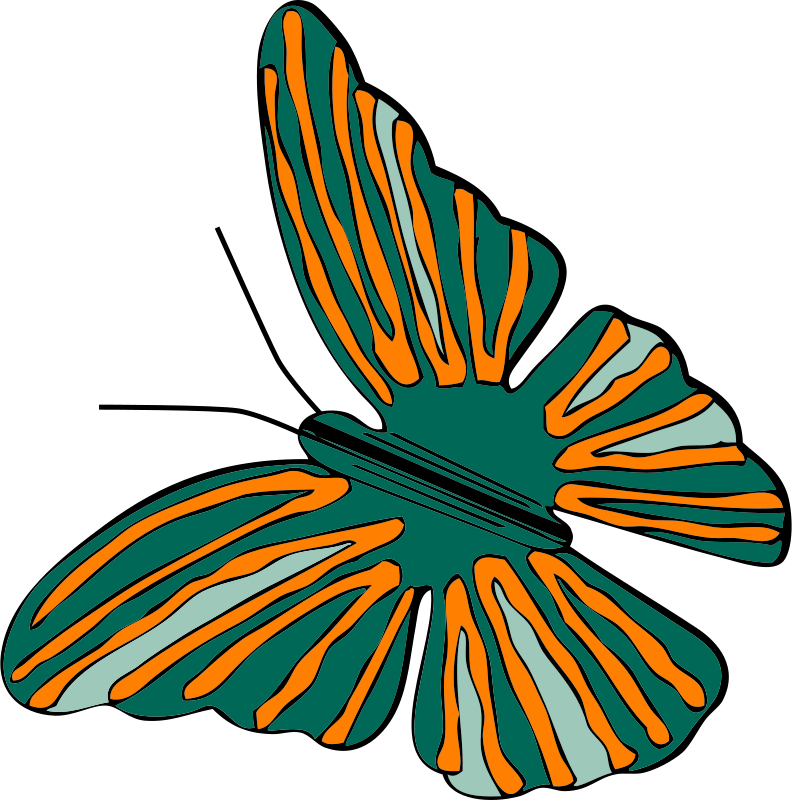 Free Butterfly - Green And Orange Butterfly (792x800)