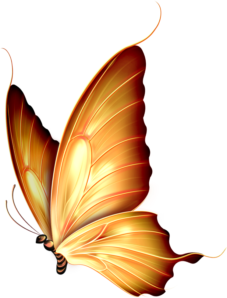 Butterfly Insect Clip Art - Butterfly Insect Clip Art (782x1000)