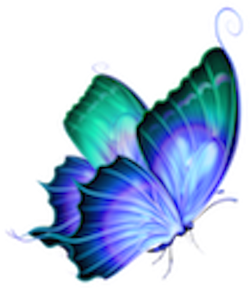 Psychic Readings By Nancy Feranec - Butterfly Png Hd For Picsart (360x427)