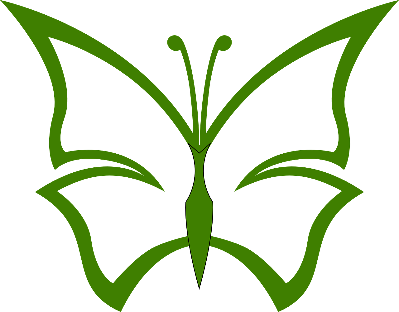 Green Butterfly - Outline Pics Of Butterfly (1280x1001)