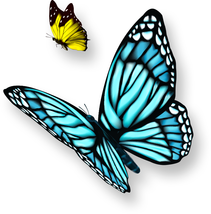 04 - Butterflies And Flowers Clipart (708x719)