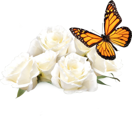 Monarch Butterfly Clipart Funeral - Monarch Butterfly (456x399)