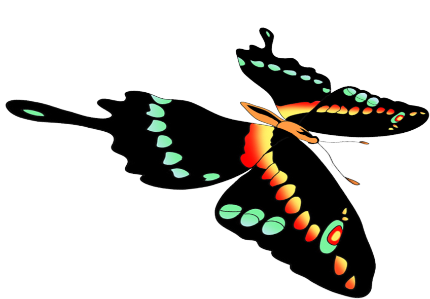 Black Swallowtail Flying - Moths And Butterflies (866x654)