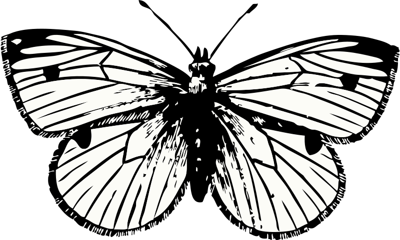 Butterfly Tattoo Png (2400x1448)