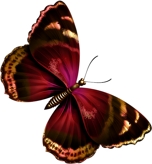 Papillon Clipart Beautiful Butterfly - Dark Red Butterfly Png (563x600)