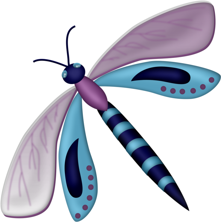 Album - Dragonfly (800x800)