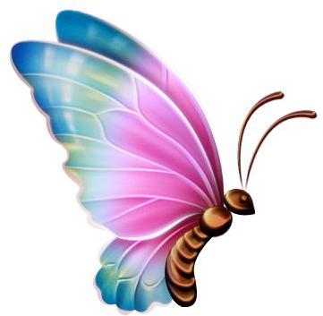 More Information - Butterfly Clipart Transparent Background (448x449)