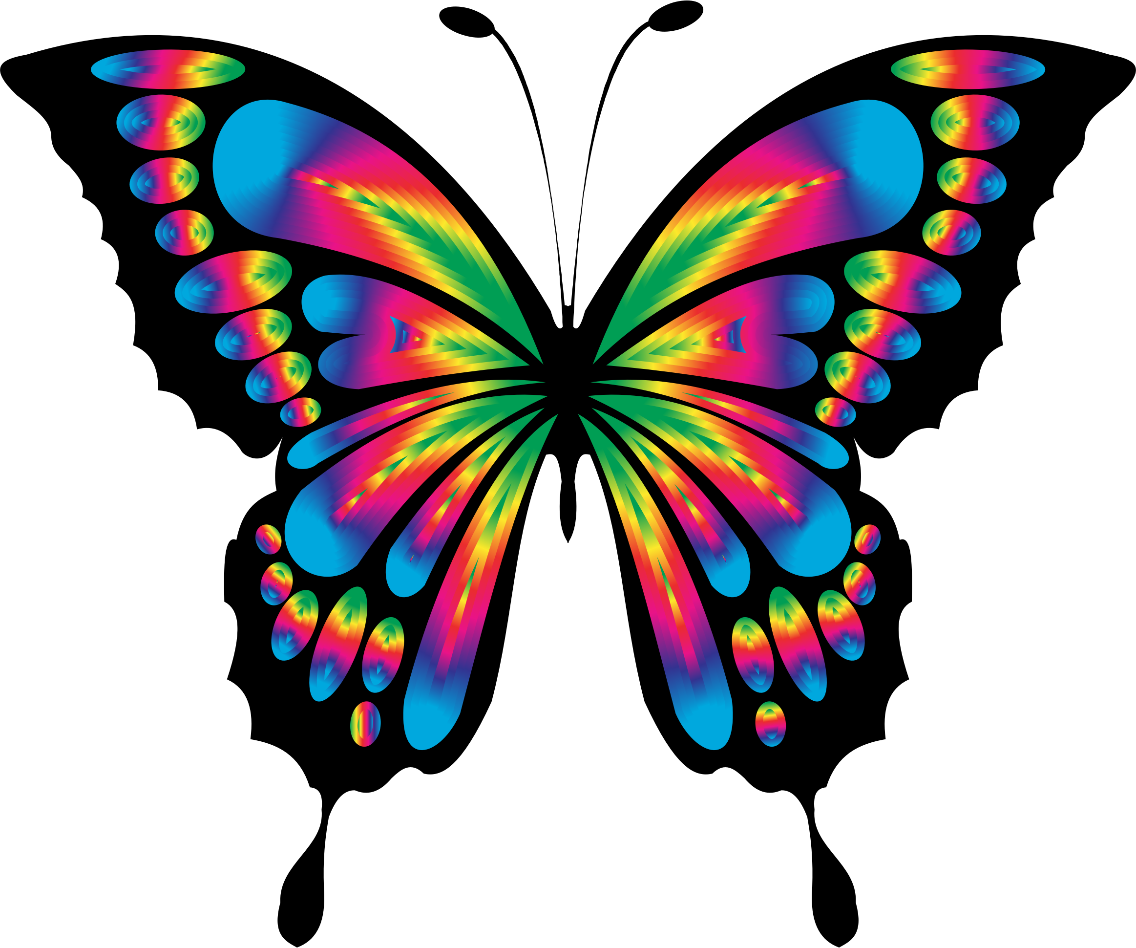Butterfly - Dibujos De Mariposas A Color (2326x1940)