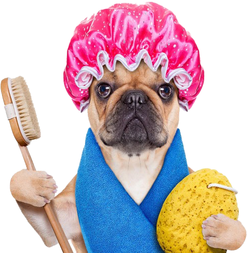 Dog Hot Tub Swimming Pool Bathtub Towel - Dog Hot Tub Swimming Pool Bathtub Towel (658x526)