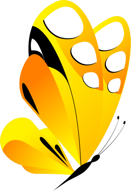 0 D1ef7 4d9dd9cc Orig - Butterfly (549x800)