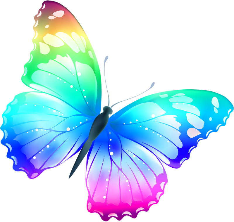 Free Butterfly Pictures Illustration Of A Beautiful - F.l.y: First Love Yourself (800x760)