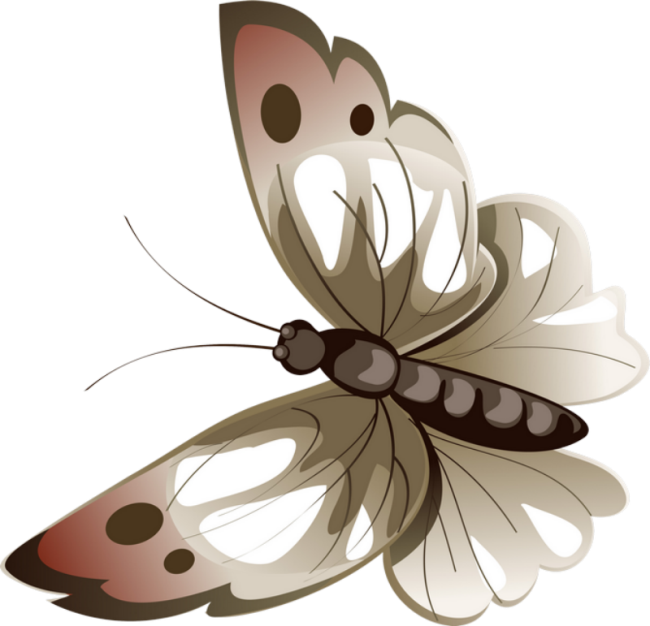 Png Kelebek Resimleri Png Kelebekler Png Rengarenk - Картина-репродукция Magic Home Роза. 44496 (650x626)