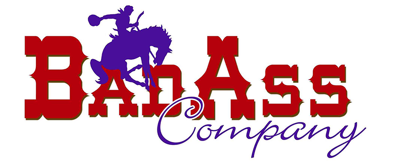 Logo - Cafepress Save A Cowboy Ride A Horse Throw Pillow (800x600)
