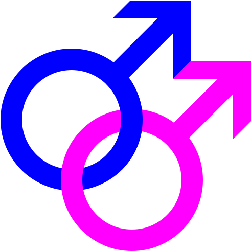File - Gay Sign - Svg - Gay Sign Png (504x504)