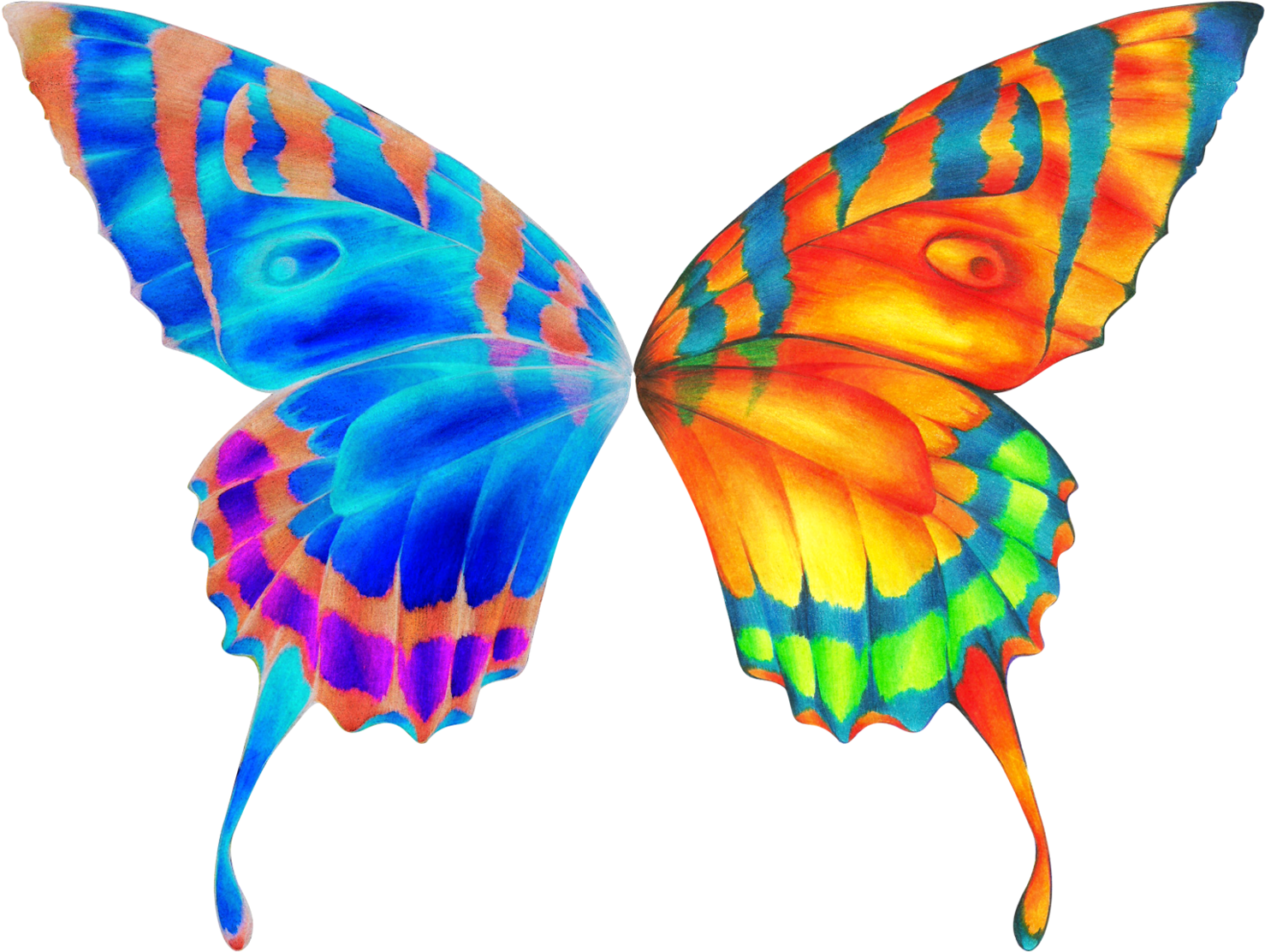 Butterfly Wings Clip Art - Butterfly Wings Transparent Background (1600x1298)