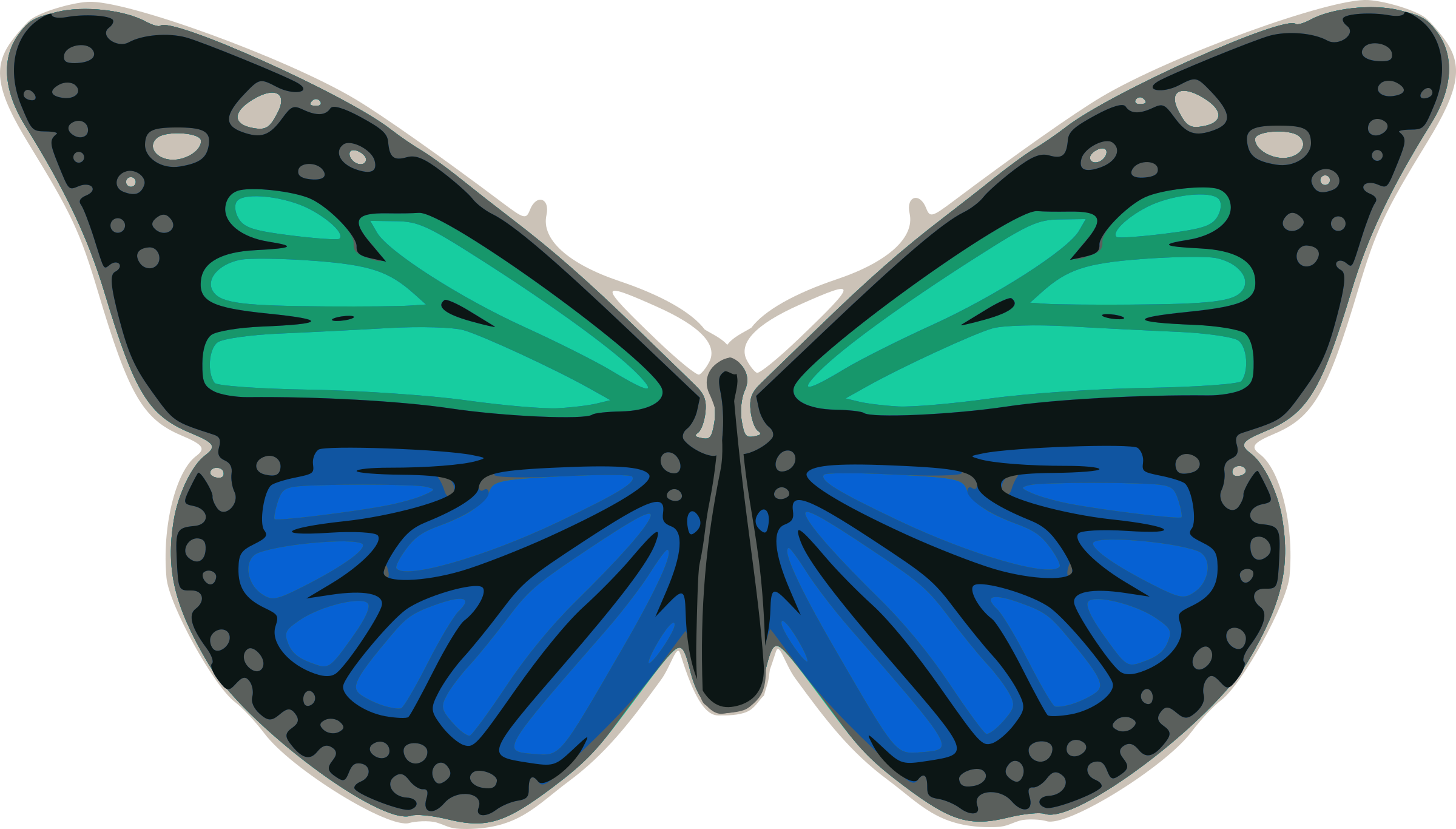 Butterfly 02 Turquoise Blue - Black And Blue Butterfly Shower Curtain (1318x750)