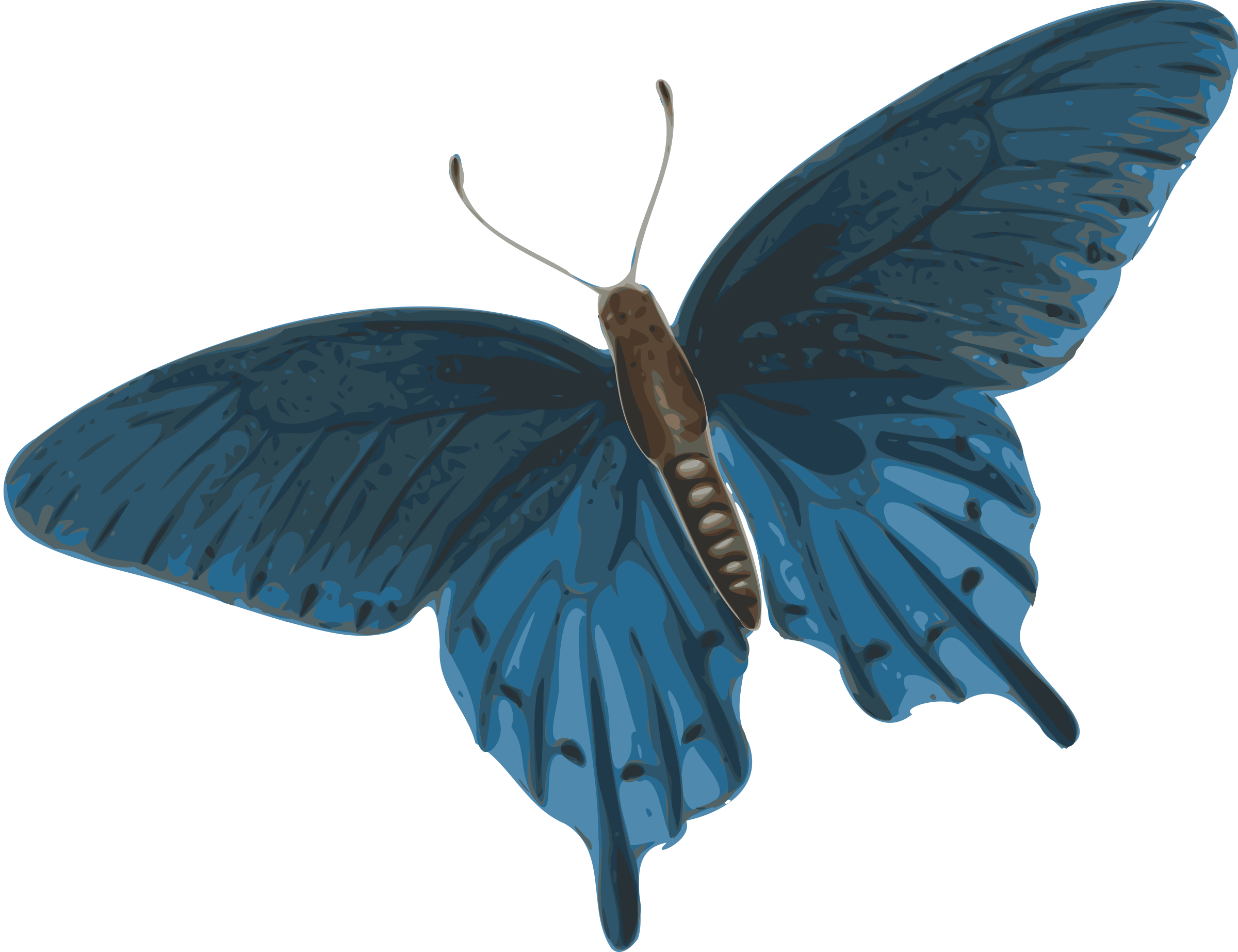 Butterfly Flying Png Gif Full Size PNG Clipart Images Download