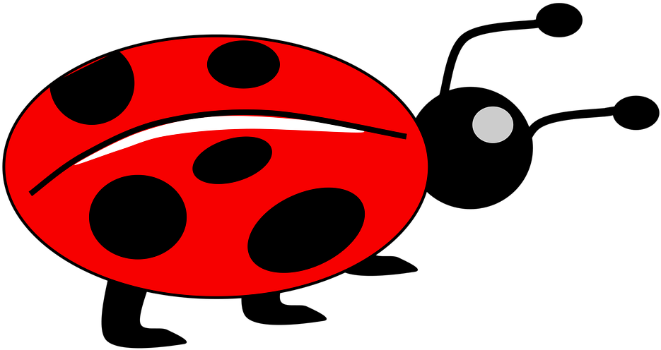 Ladybugs английский для детей. Мультяшные божьи коровки. Божья коровка вектор. Божья коровка картинка для детей. Жук для детей.