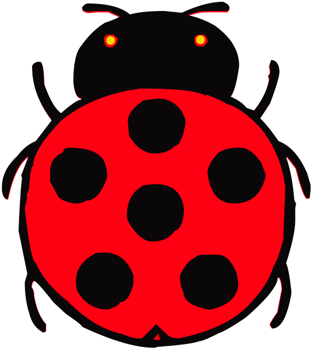 Ladybird Cartoon 10, Buy Clip Art - Beetle Drawing For Kids (646x720)
