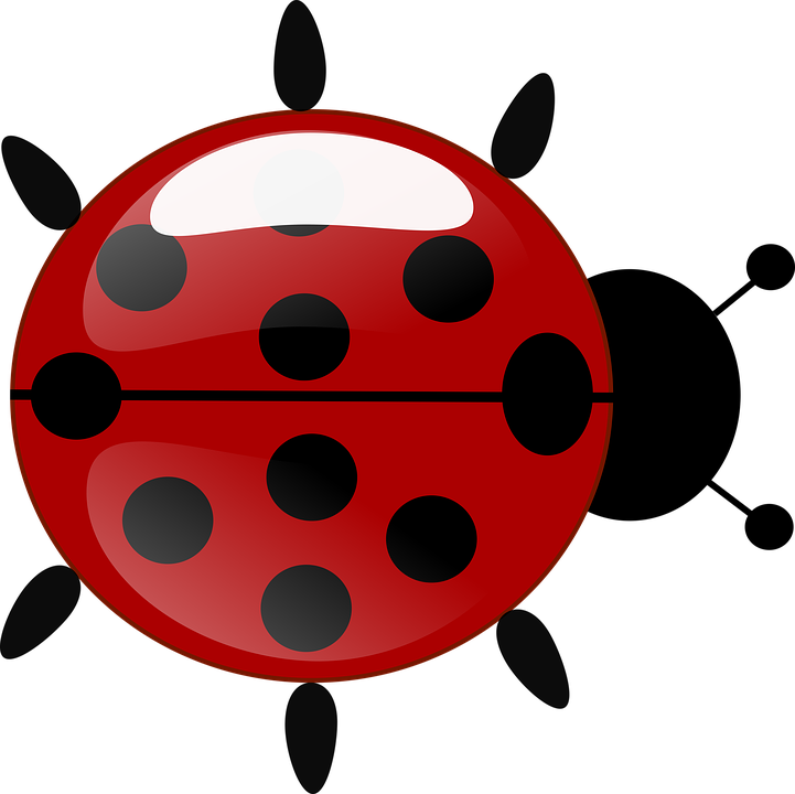Lady Bug Cartoon 14, - Joaninha Da Ladybug Em Png (721x720)
