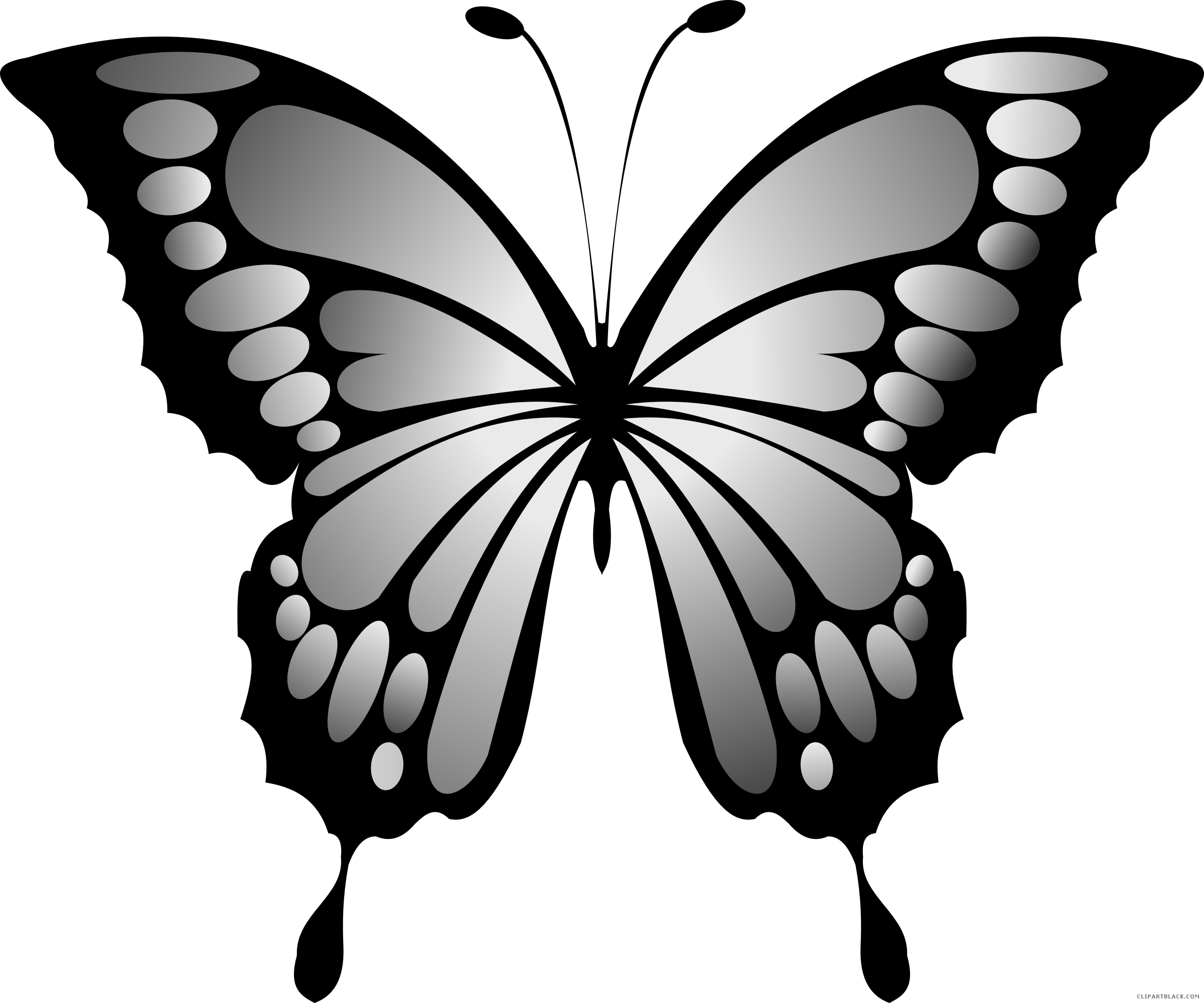 Wonderful Butterfly Animal Free Black White Clipart - Dibujos De Mariposas A Color (2400x2000)