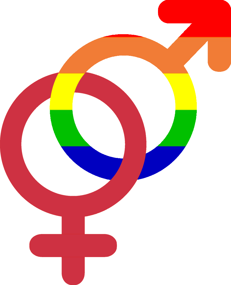"i Am A Mormon Gay Man Who Is Marrying A Beautiful - Logo Gay En Png (810x1000)