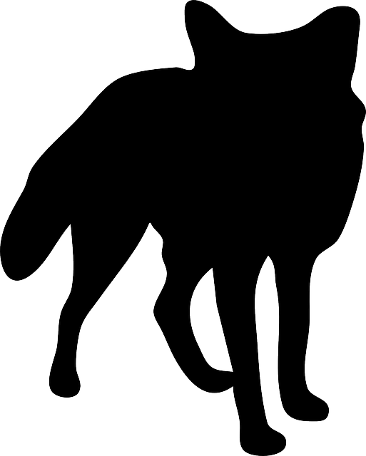 Fur Black, Silhouette, Fox, Tail, Hunter, Fur - Fox Clip Art Black (513x640)