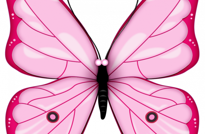 Pink Butterfly Clip Art (702x459)