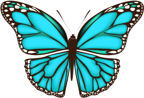 Borboleta Azul - Borboleta Azul (480x678)