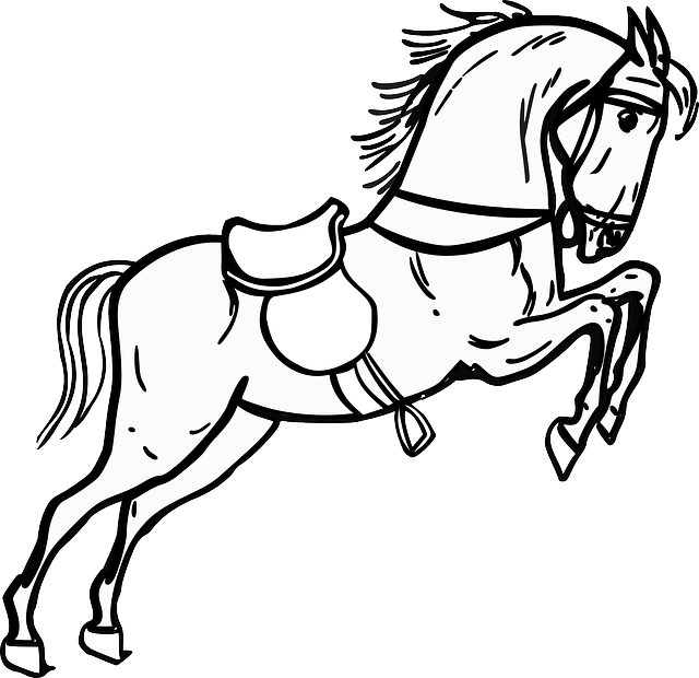 Contour Horse, Jumping, Standing, Animal, Outline, - Horse Black & White (640x620)