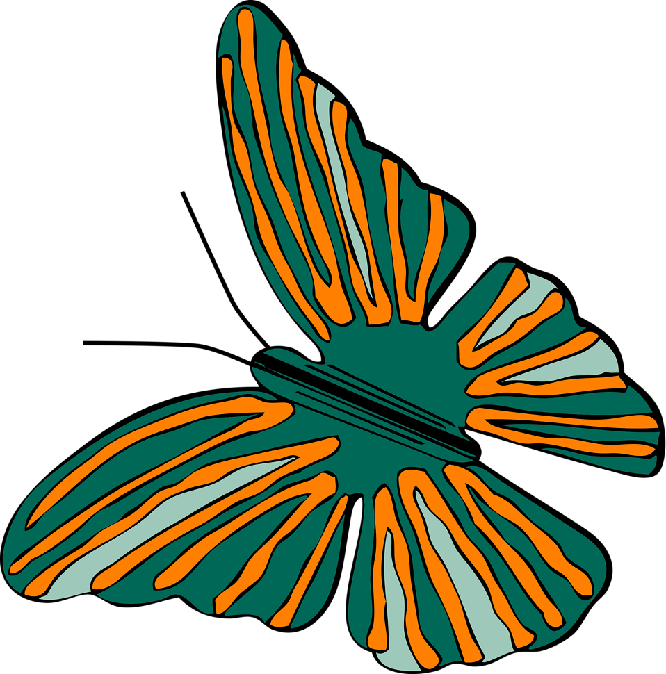 How To Set Use Green And Orange Butterfly Icon Png - Green And Orange Butterfly (958x970)